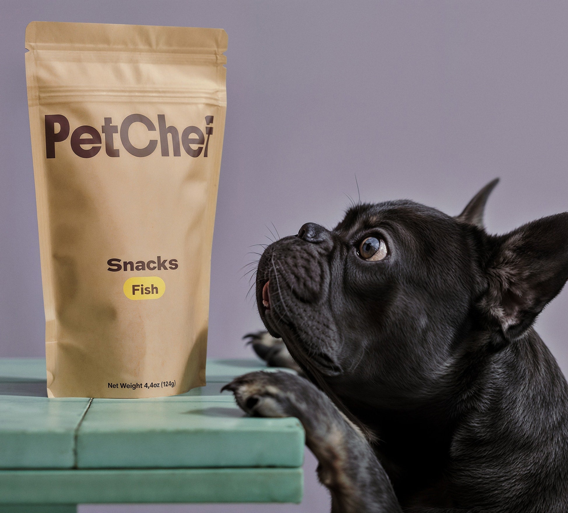 Bath Joy for Every Furry Friend