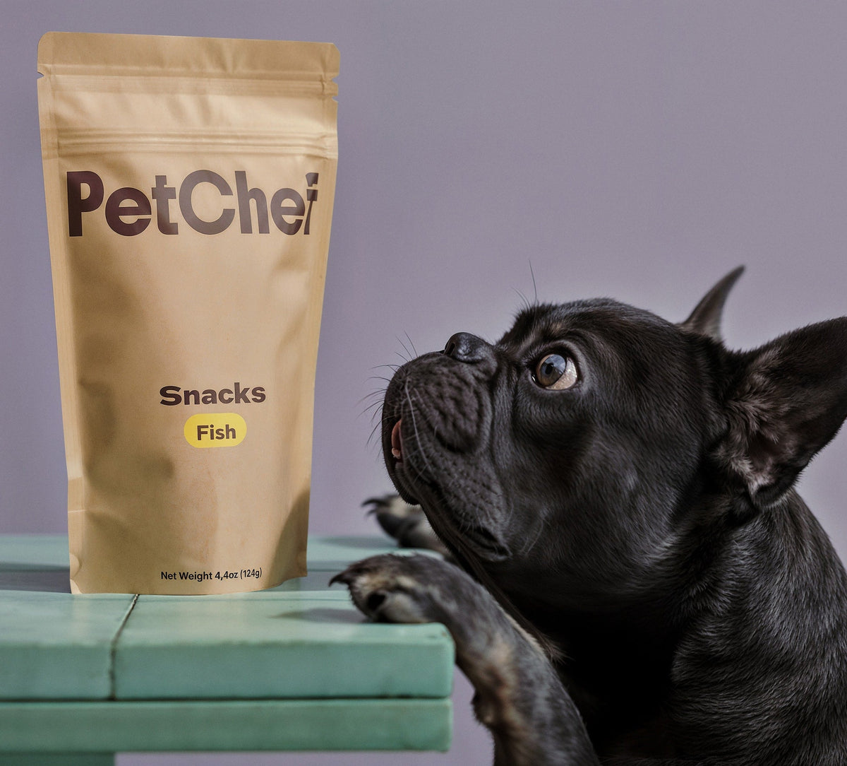 Bath Joy for Every Furry Friend
