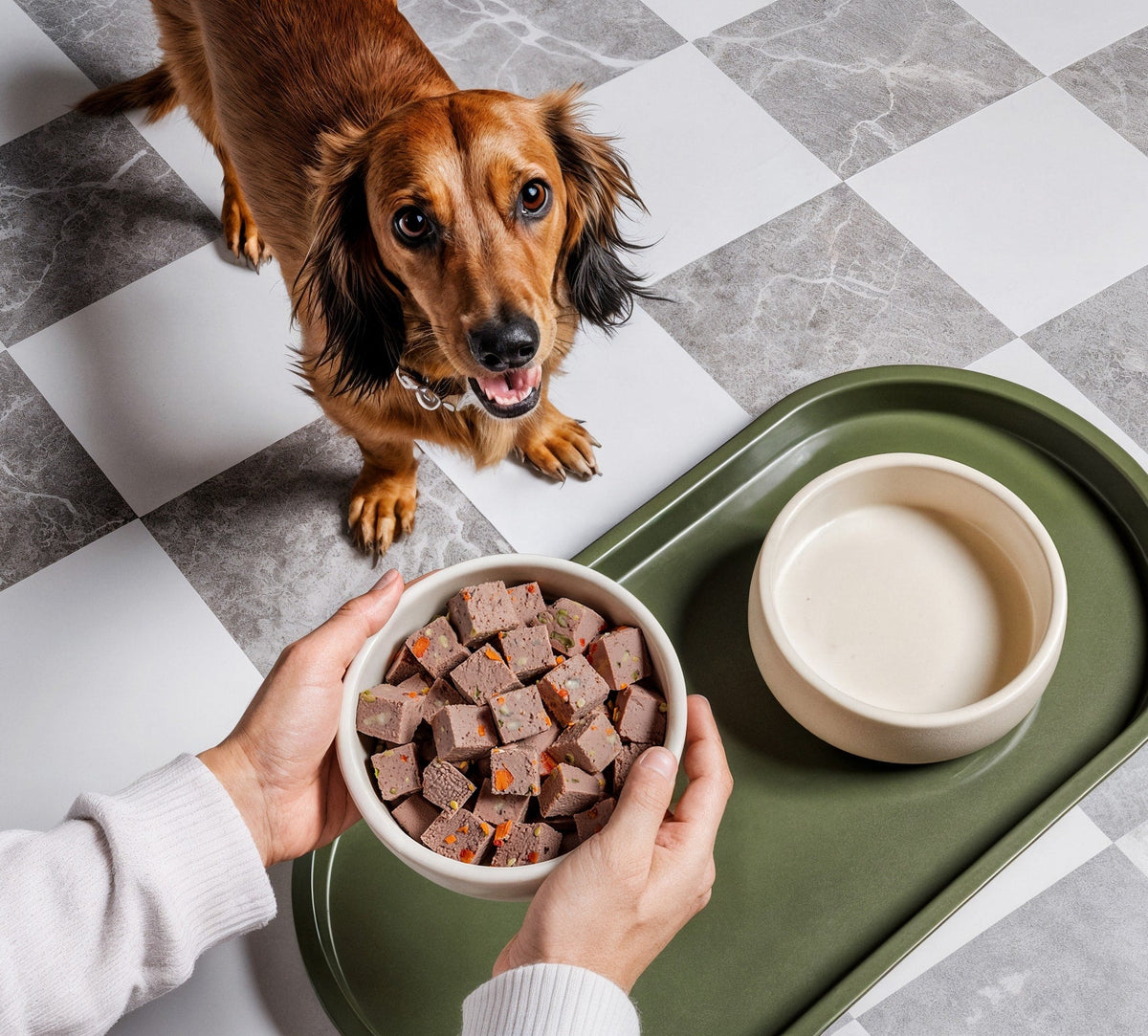 Real Food, Real Health, Real Happy Pets