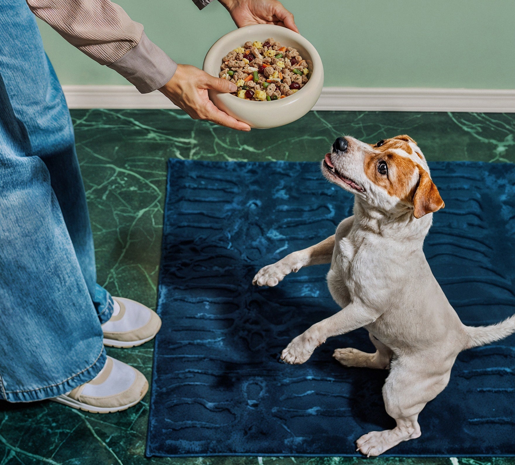 Feed the Wild Side — Raw Nutrition for Happy Pets