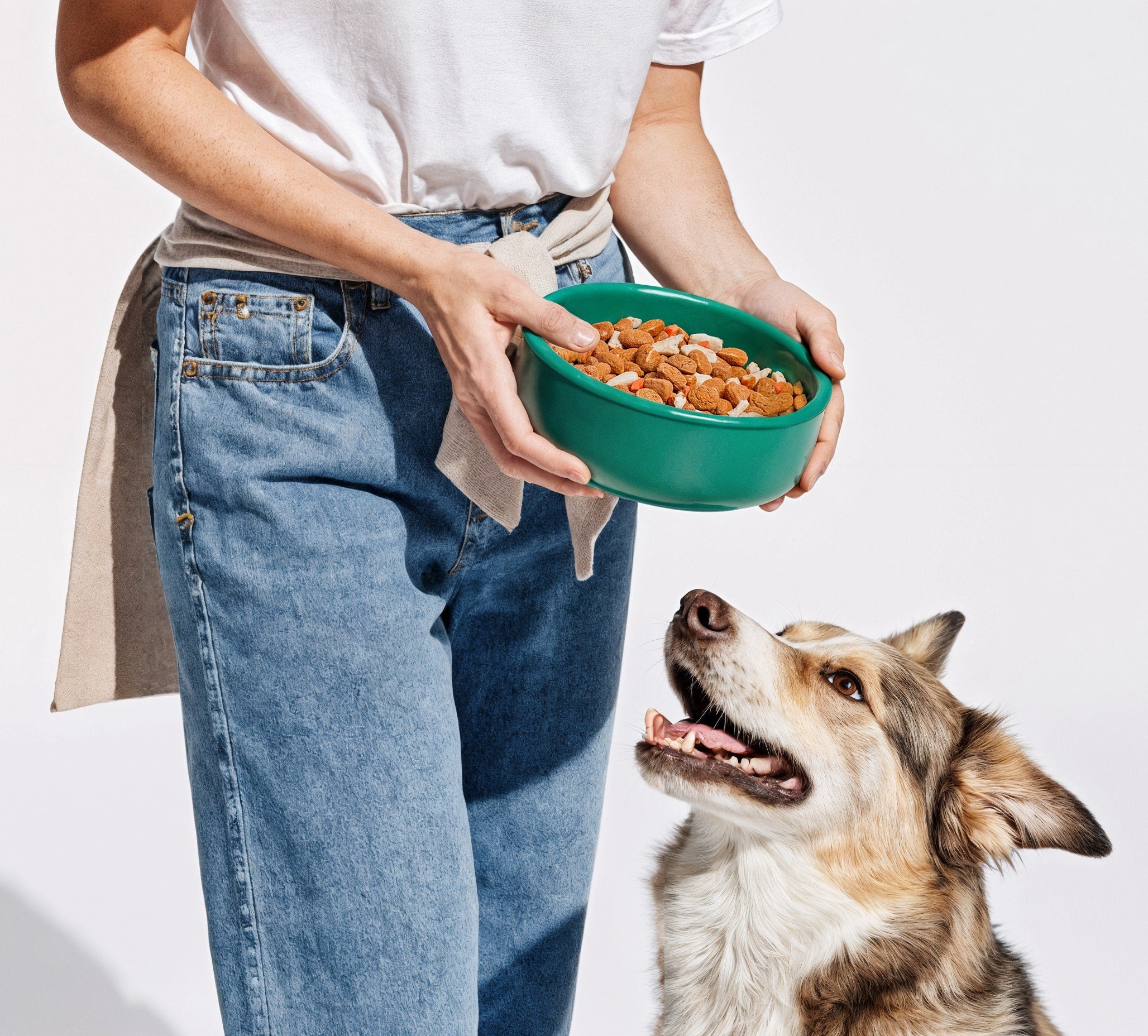 Bite Into Happiness — Pet Snack Edition